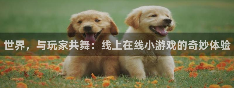 杏宇平台登录官网