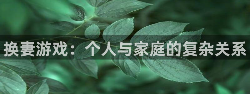 杏宇娱乐登录官网