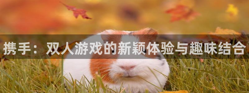 杏宇娱乐登录官网入口下载：携手：双人游戏的新颖体验与趣味结合