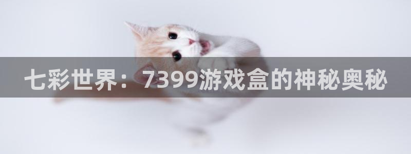 杏宇平台代理注册