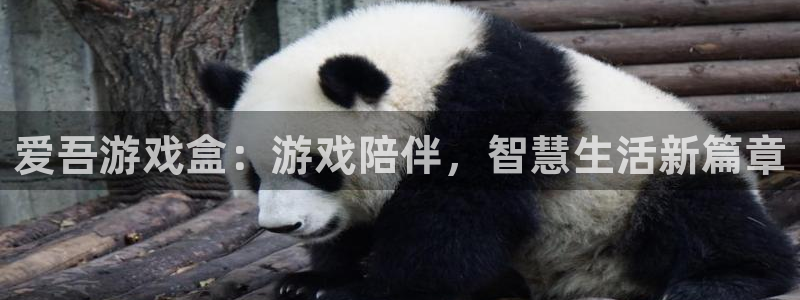 杏宇平台登陆入口地址：爱吾游戏盒：游戏陪伴，智慧生活新篇章