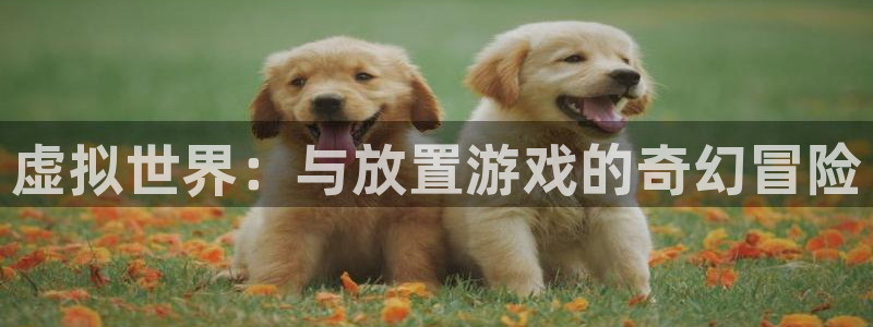 杏宇娱乐登录官网入口下载