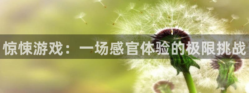 杏宇娱乐登录官网下载安装：惊悚游戏：一场感官体验的极限挑战